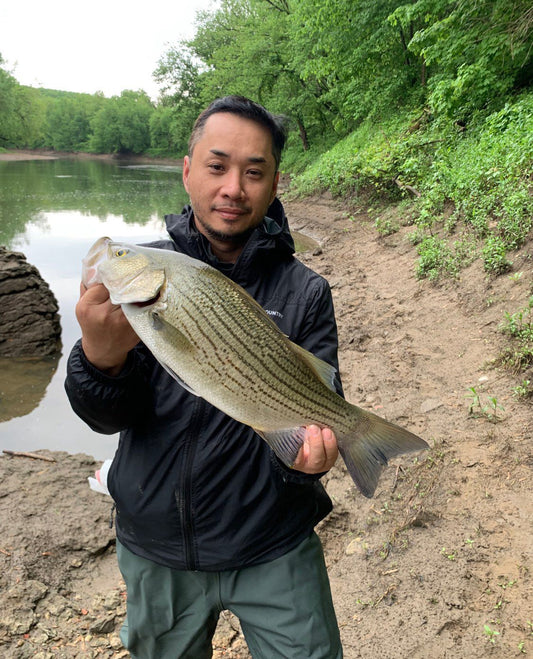 Bass Fishing in the Midwest