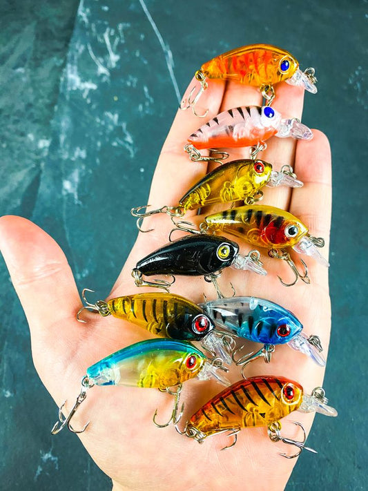 Juego de pececillos hundidos con Crankbait duro corto (9)