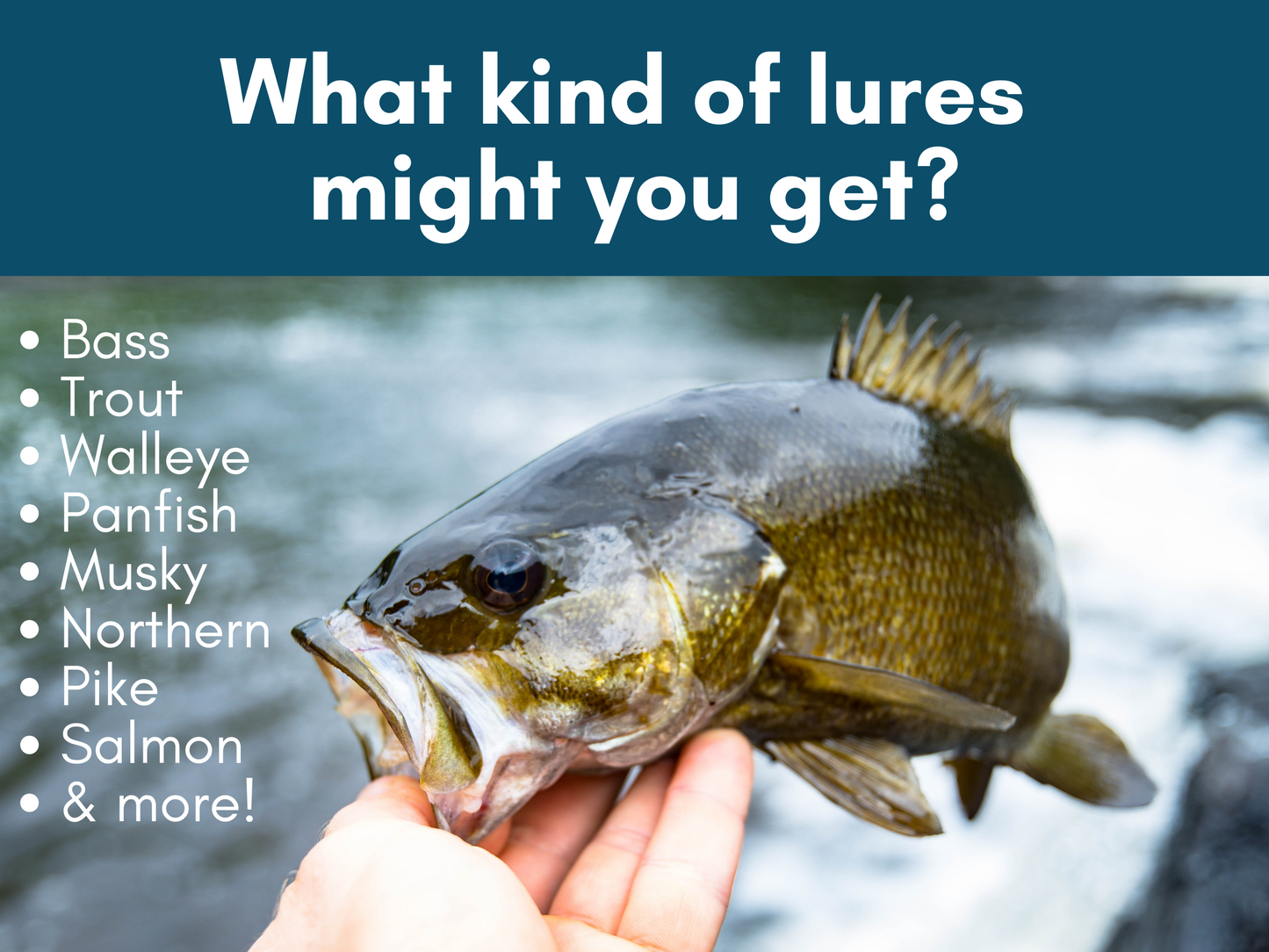 $2 Lure Fish Fam Club - Lures to Your Mailbox