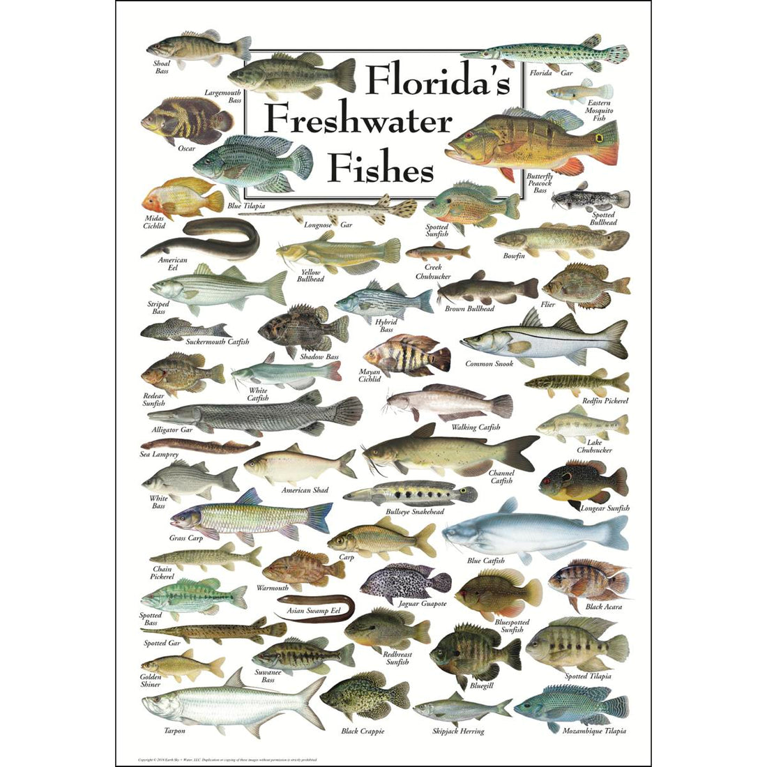 Best places to fish in Flordia