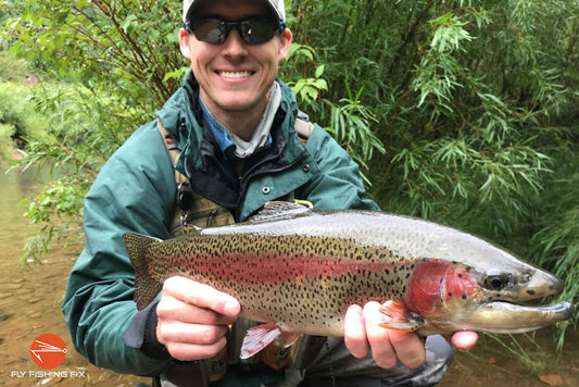 How to Fly Fish For Trout - Choosing the Right Fly and Place at the Right Time
