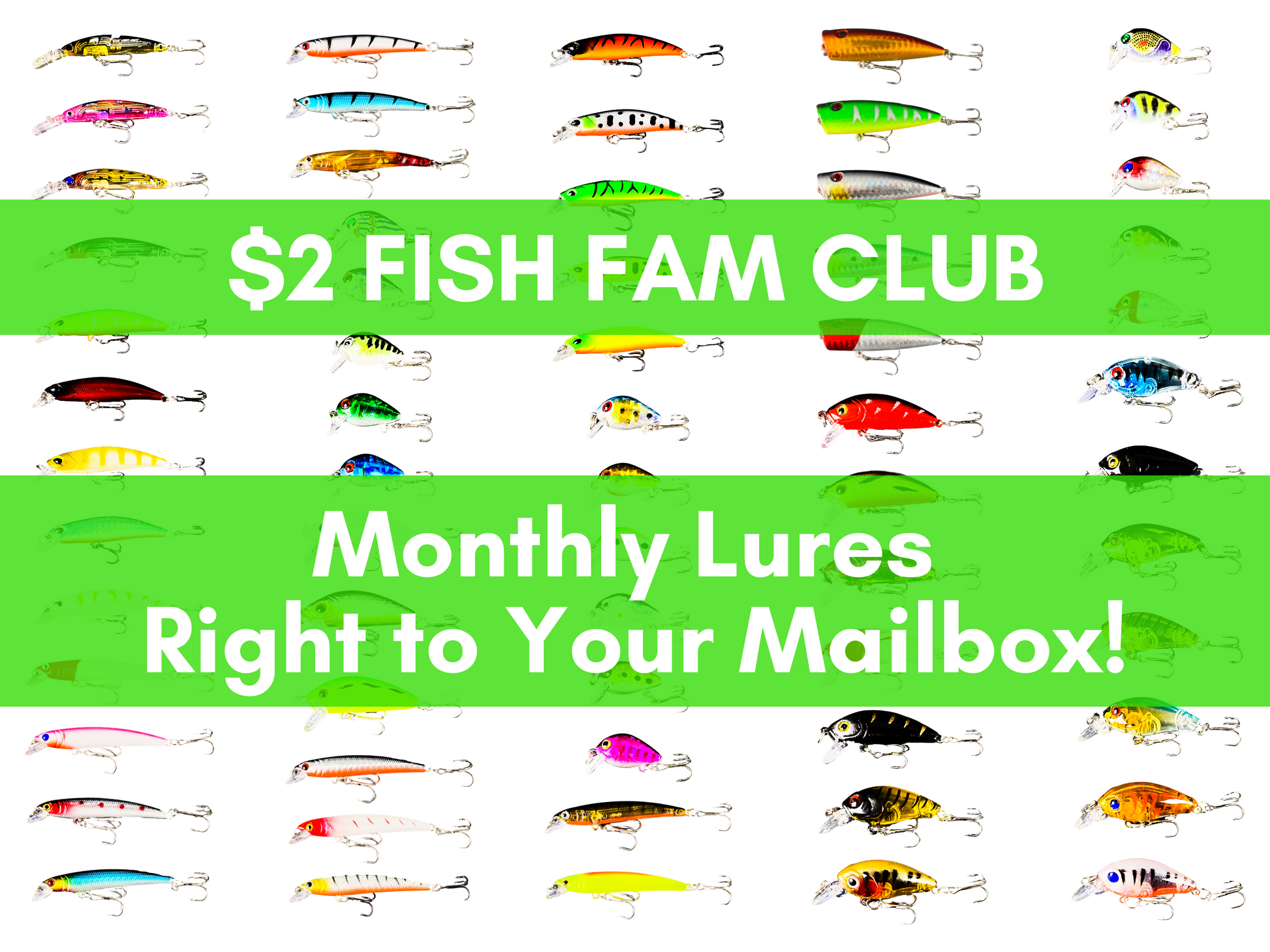bass lure of the month club $2 Lure Fish Fam Club
